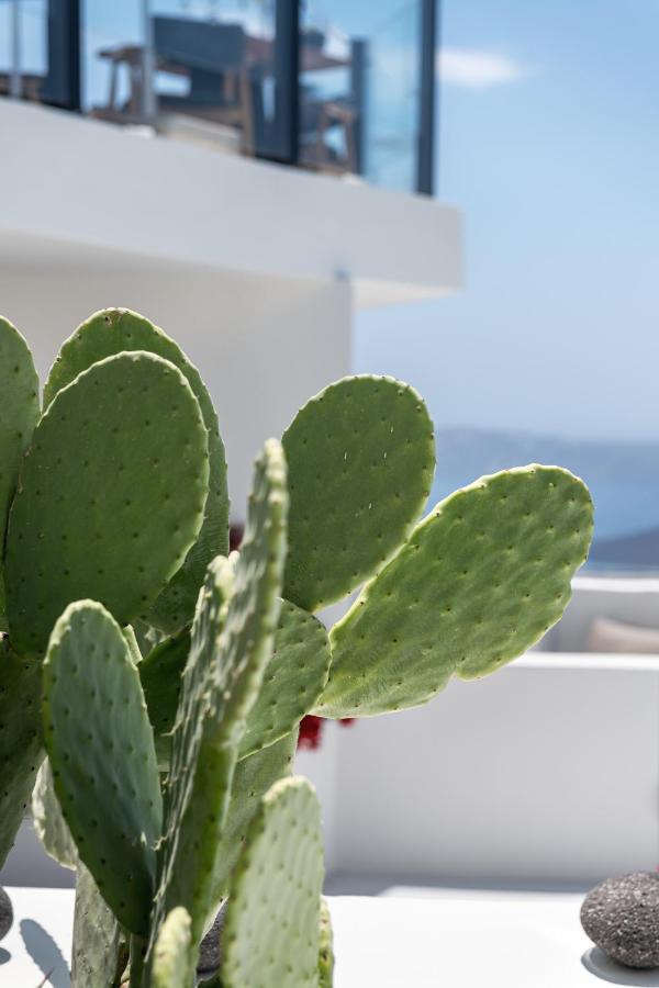 Akra Suites & Spa Imerovigli (Santorini) Exterior foto